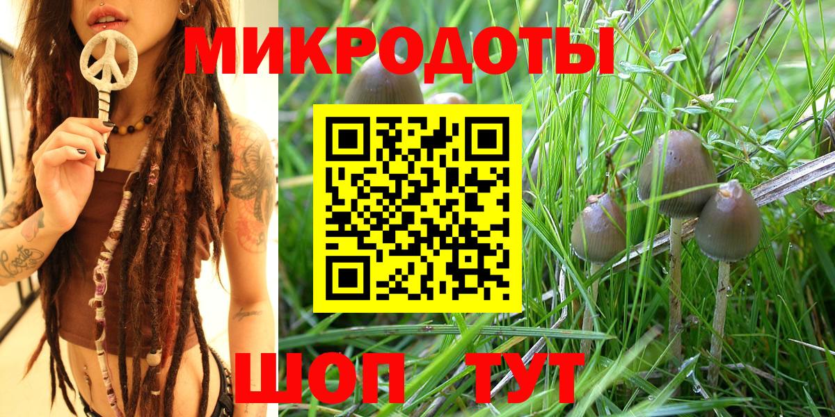 Сосновоборск  Галлюциногенные грибы Psilocybe  даркнет сайт  Вход с VPN 